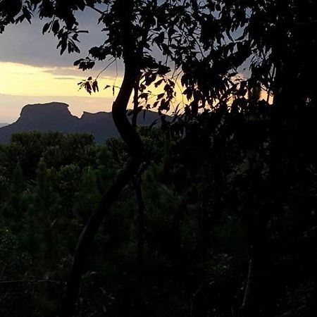Chale Dos Tucanos- Parede De Vidro Com Linda Vista Campos do Jordão Eksteriør billede