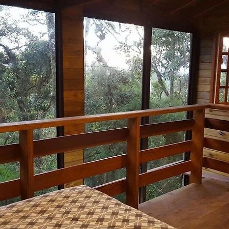 Chale Dos Tucanos- Parede De Vidro Com Linda Vista Campos do Jordão Eksteriør billede
