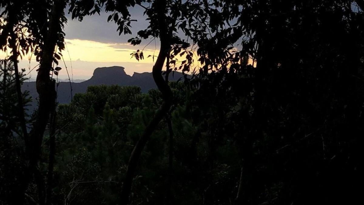Chale Dos Tucanos- Parede De Vidro Com Linda Vista Campos do Jordão Eksteriør billede