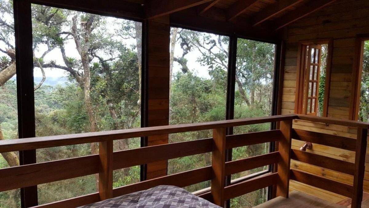 Chale Dos Tucanos- Parede De Vidro Com Linda Vista Campos do Jordão Eksteriør billede