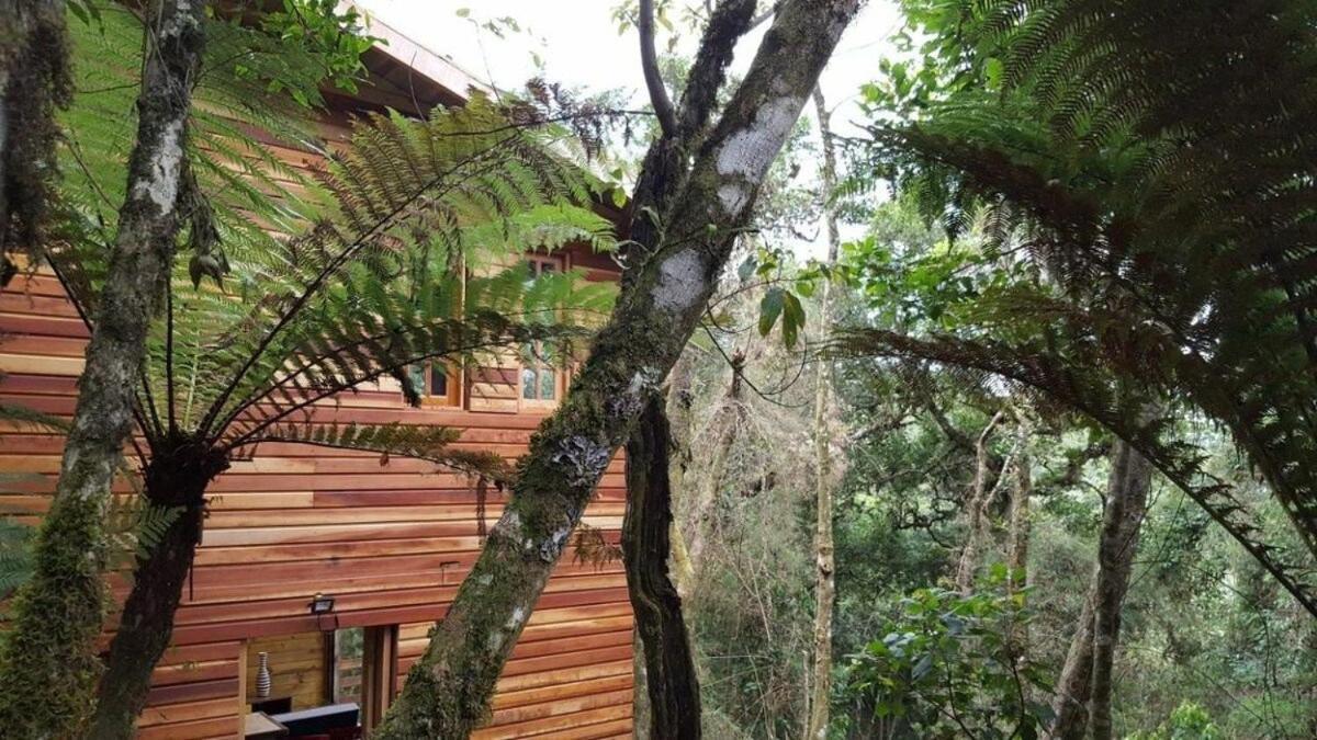 Chale Dos Tucanos- Parede De Vidro Com Linda Vista Campos do Jordão Eksteriør billede