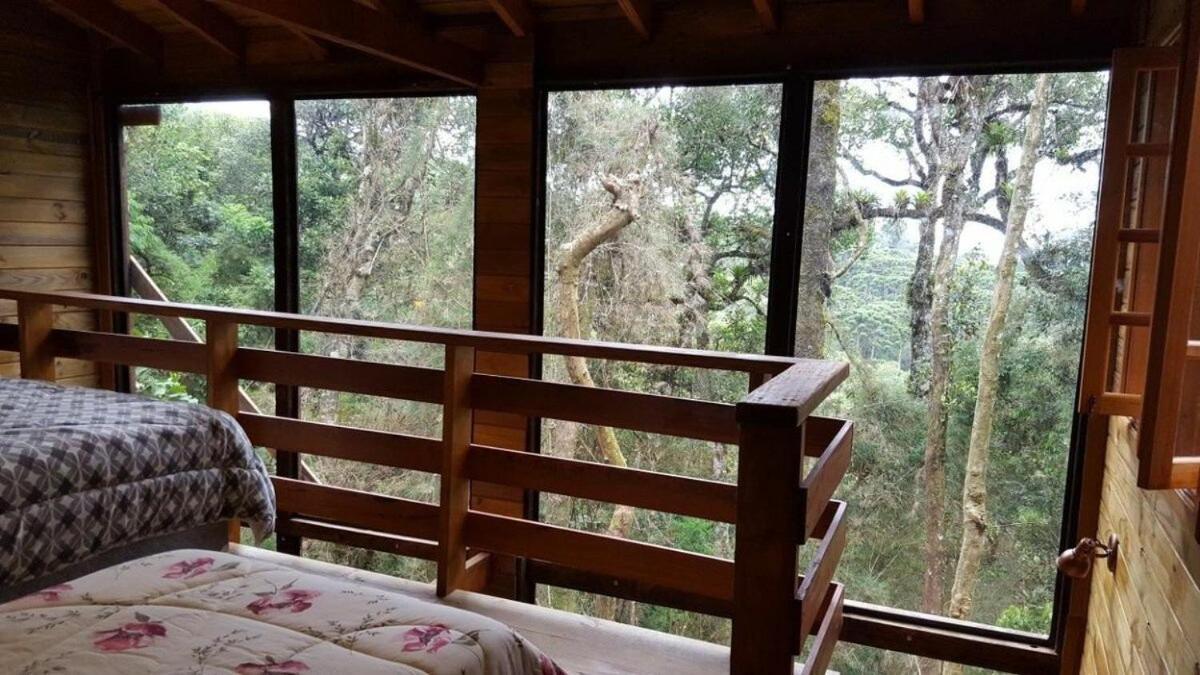 Chale Dos Tucanos- Parede De Vidro Com Linda Vista Campos do Jordão Eksteriør billede