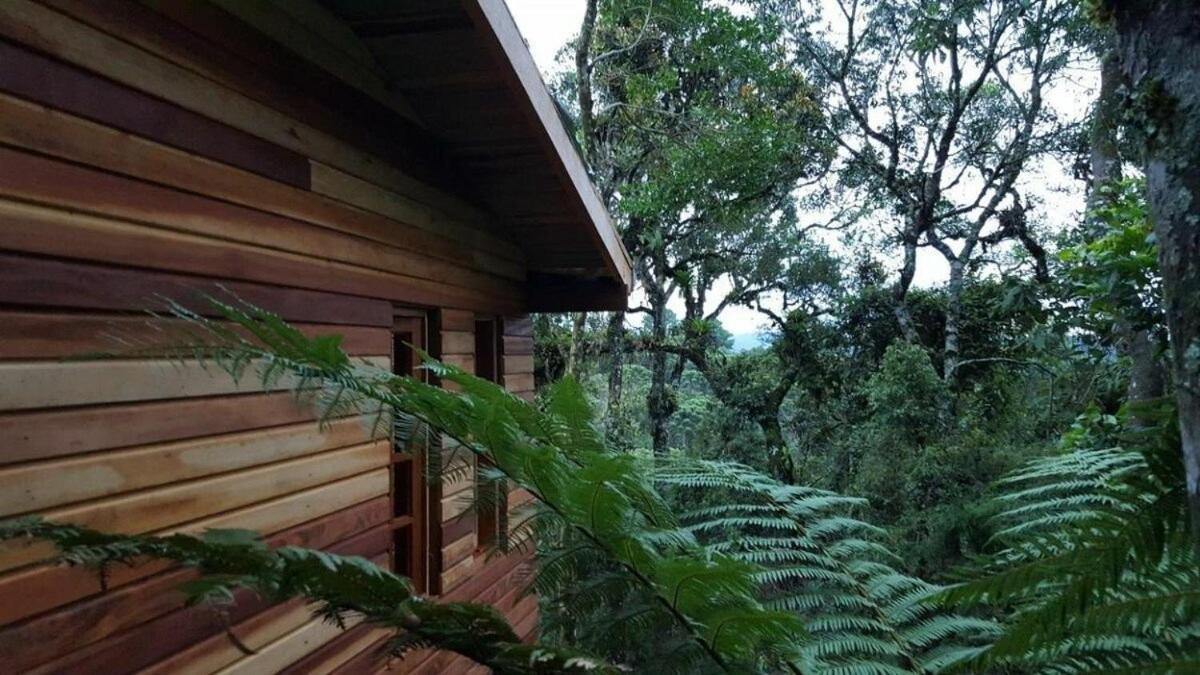 Chale Dos Tucanos- Parede De Vidro Com Linda Vista Campos do Jordão Eksteriør billede